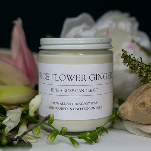 Rice Flower Ginger